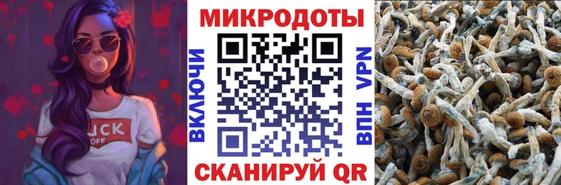 Купить закладки  Лянтор  Псилоцибиновые грибы GOLDEN TEACHER 